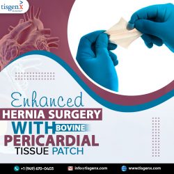 Enhanced Hernia Surgery with Bovine Pericardial Tissue Patch