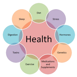 What is holistic health and wellness training