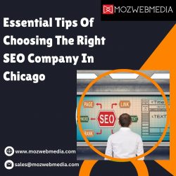 Essential Tips Of Choosing The Right Seo Company In Chicago