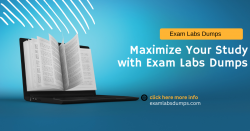 Exam Labs Dumps: Your Key to Certification Success