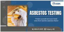 Expert Asbestos Identification Service
