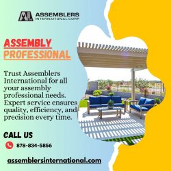 Expert Assembly Professional Services – Assemblers International