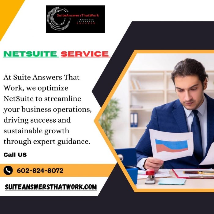 Expert NetSuite Service Solutions for Your Business Needs