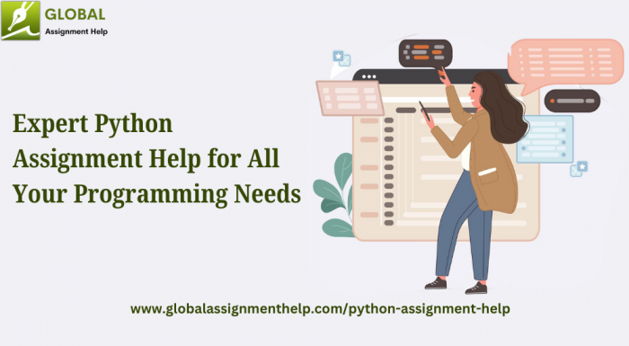 Expert Python Assignment Help for All Your Programming Needs