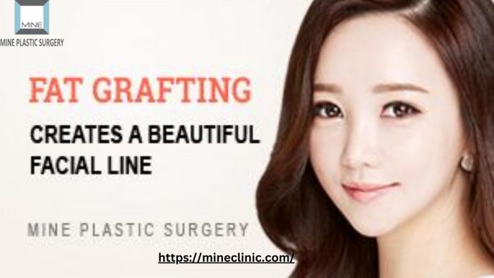 Revitalize Your Beauty with Fat Grafting in Korea at Mine Clinic