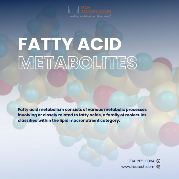 Fatty Acid Metabolites | IROA Technologies LLC