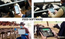 Feed Software Market is expected to reach $456.1 million by 2030