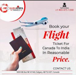 Best Flight Booking Options from Calgary