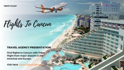 Flights To Cancun | Trippy Flight