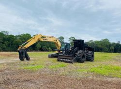 Land Clearing In Waldo Florida