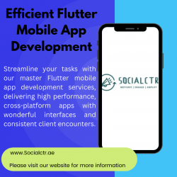 Efficient Flutter Mobile App Development