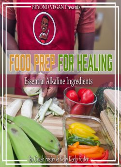 BEYOND VEGAN FOOD PREP FOR HEALING EBOOK
