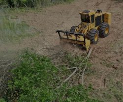 Morgan Texas Land Clearing Services