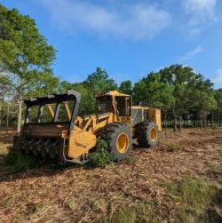 Walnut Springs Texas Land Clearing Services