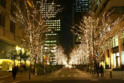 Guide to Permanent Christmas Lighting Installation for Canadian Businesses