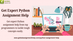 Expert Python Assignment Help