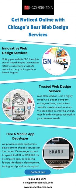 Get Noticed Online with Chicago’s Best Web Design Services