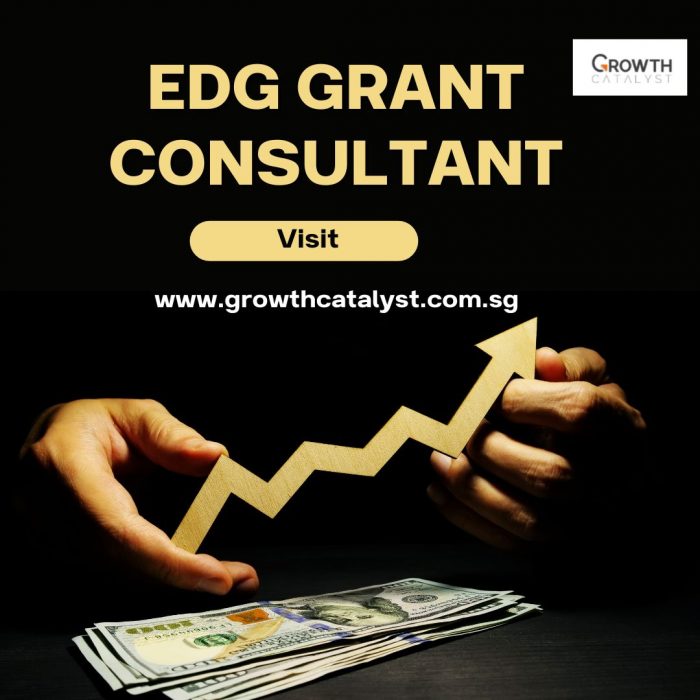 Get Your EDG Grant Application Ready With EDG Grant Consultant
