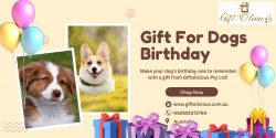 Purchase Unique Gift For Dogs Birthday – Giftolicious Pty Ltd