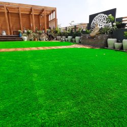 vertical garden
