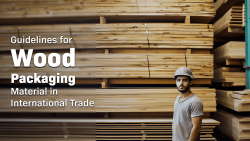 Guidelines for Wood Packaging Material in International Trade