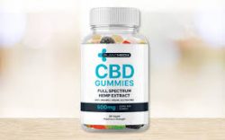 Plant Medix CBD Gummies: A Natural Solution for Wellness