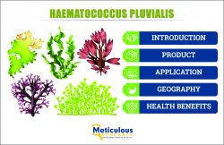 Haematococcus Pluvialis Industry Set to Achieve $189.8 Million Valuation by 2030