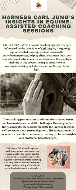 Harness Carl Jung’s Insights in Equine-Assisted Coaching Sessions