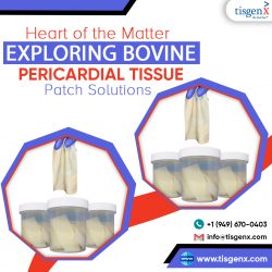 Bovine Pericardial Tissue Patch