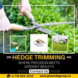 Enhance Your Look With Hedge Trimmer Surrey In the backyard