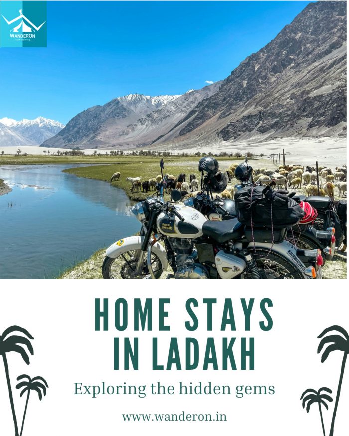 10 Finest Homestays in Ladakh to Experience Ladakhi Hospitality