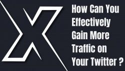 How Can You Effectively Gain More Traffic on Your Twitter ?