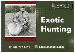 Hunting Trips for Exceptional Trophies