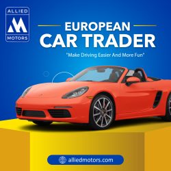 Trusted European Car Experts
