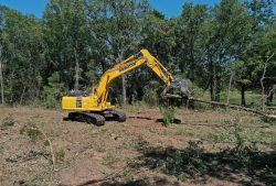 Transform Your Property with Forestry Mulching Services in Ore City, TX