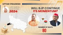 BJP Secures Decisive Victory in 2024 Indian General Elections