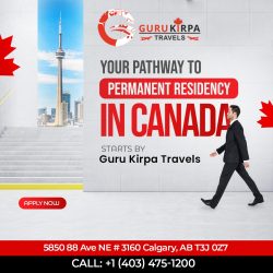 Expert Immigration Consultant Services in Calgary NE