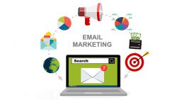 Grow Your Business with Innovative Email Marketing Strategies – web spider solutions