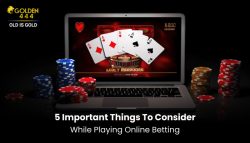5 Important Things to Consider While Playing Online Betting