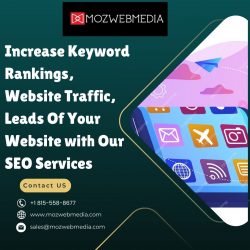 Increase Keyword Rankings, Website Traffic, Leads Of Your Website with Our SEO Services