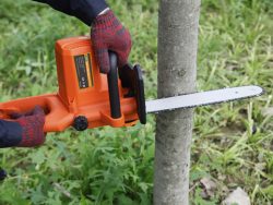Explore Excellence with a Leading Chain Saw Manufacturer