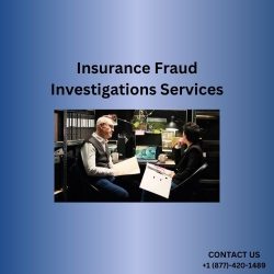 Insurance Fraud Investigations Services