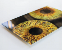 Eye Iris Acrylic Print