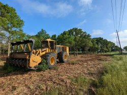 Brush Clearing Services in Calhoun County, Florida