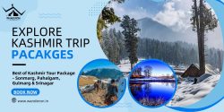 Kashmir Tour: Explore Sonmarg, Pahalgam, Gulmarg & Srinagar