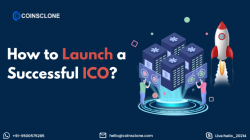 How do you start an ICO for an established business?