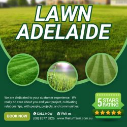 Lawn Adelaide