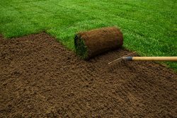 Lawn Installation Everything You Need to Know for a Healthy Lawn
