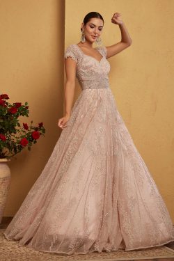 Light Pink Sequins Embroidered Reception Gown-GW4416