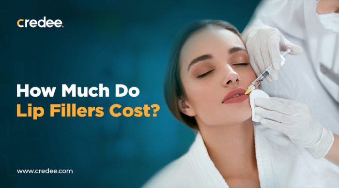 How Much Do Lip Fillers Cost? ( In 2024 ) – Credee